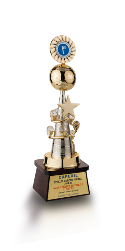 CAPEXIL Special Award 2012-13